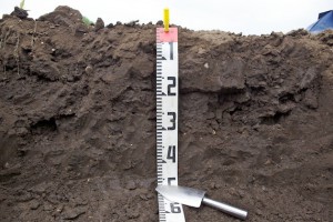 土壌の物理特性を観察